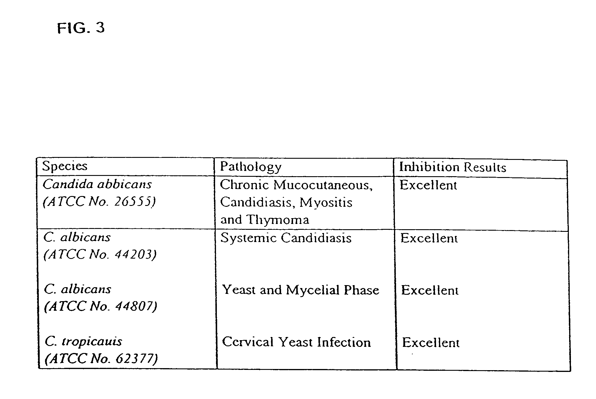 Probiotic, lactic acid-producing bacteria and uses thereof