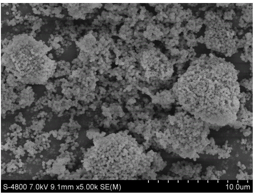 Method for observing morphology of ultrafine powder sample by using scanning electron microscope