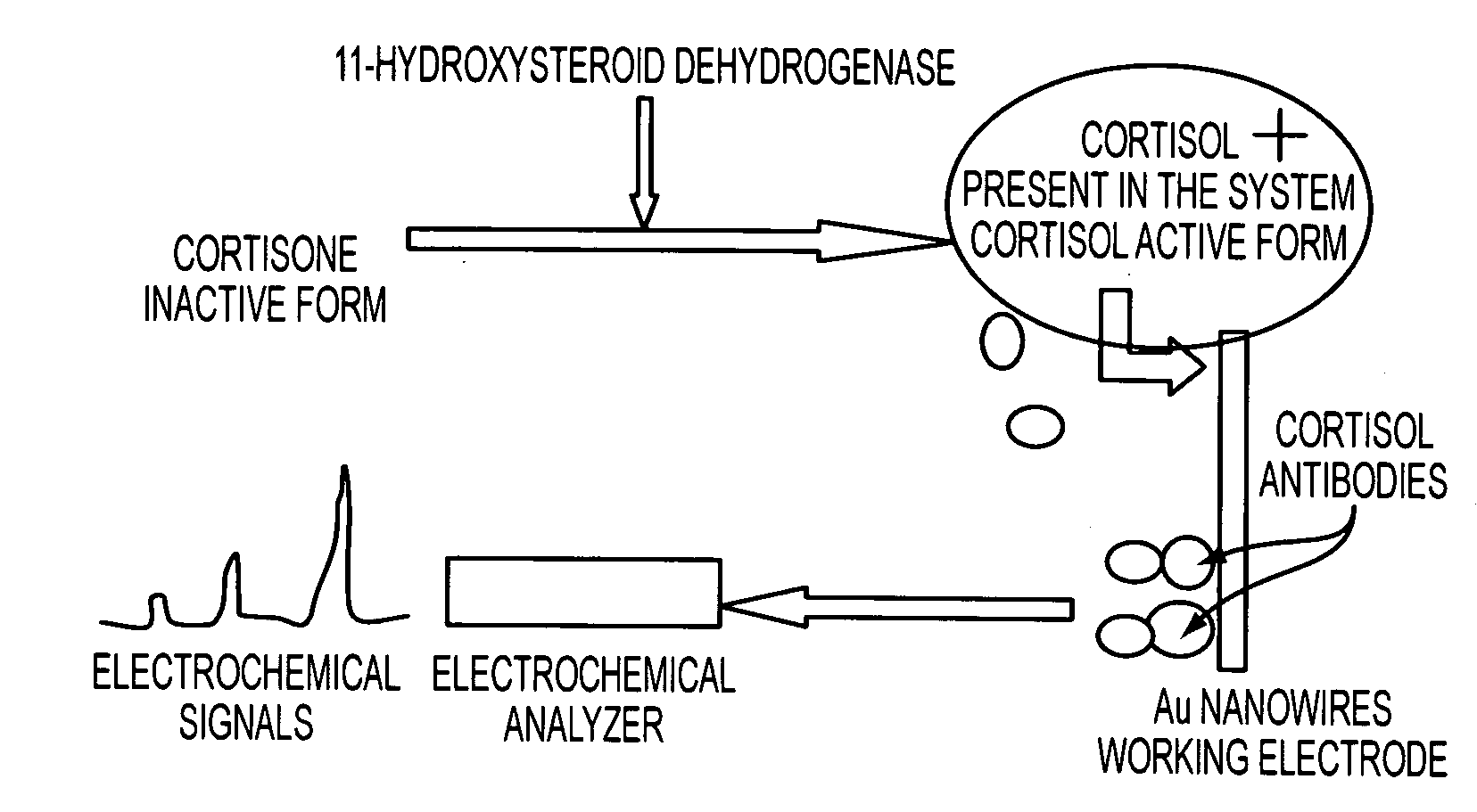 Nano-Based Device for Detection of Disease Biomarkers and Other Target Molecules