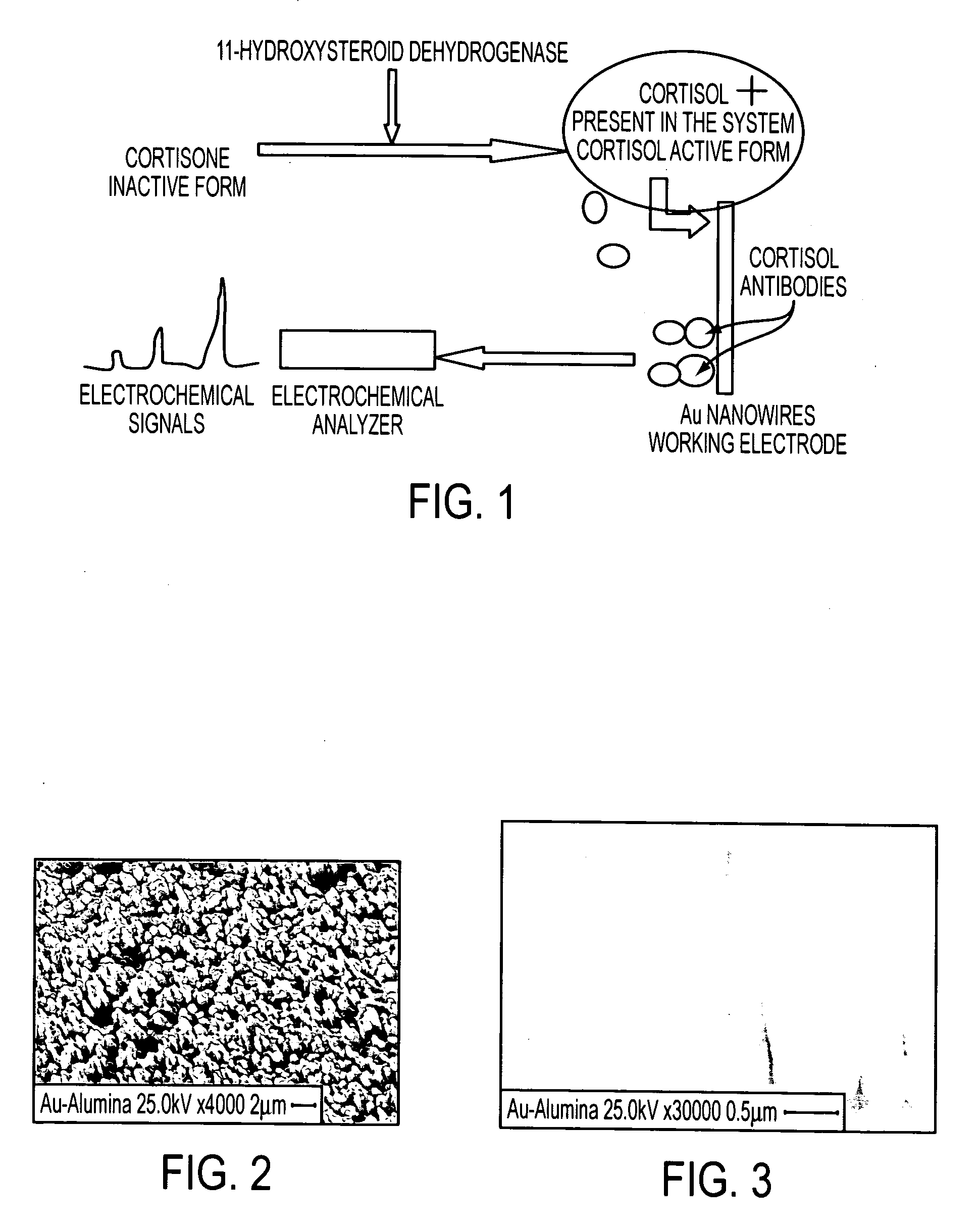 Nano-Based Device for Detection of Disease Biomarkers and Other Target Molecules