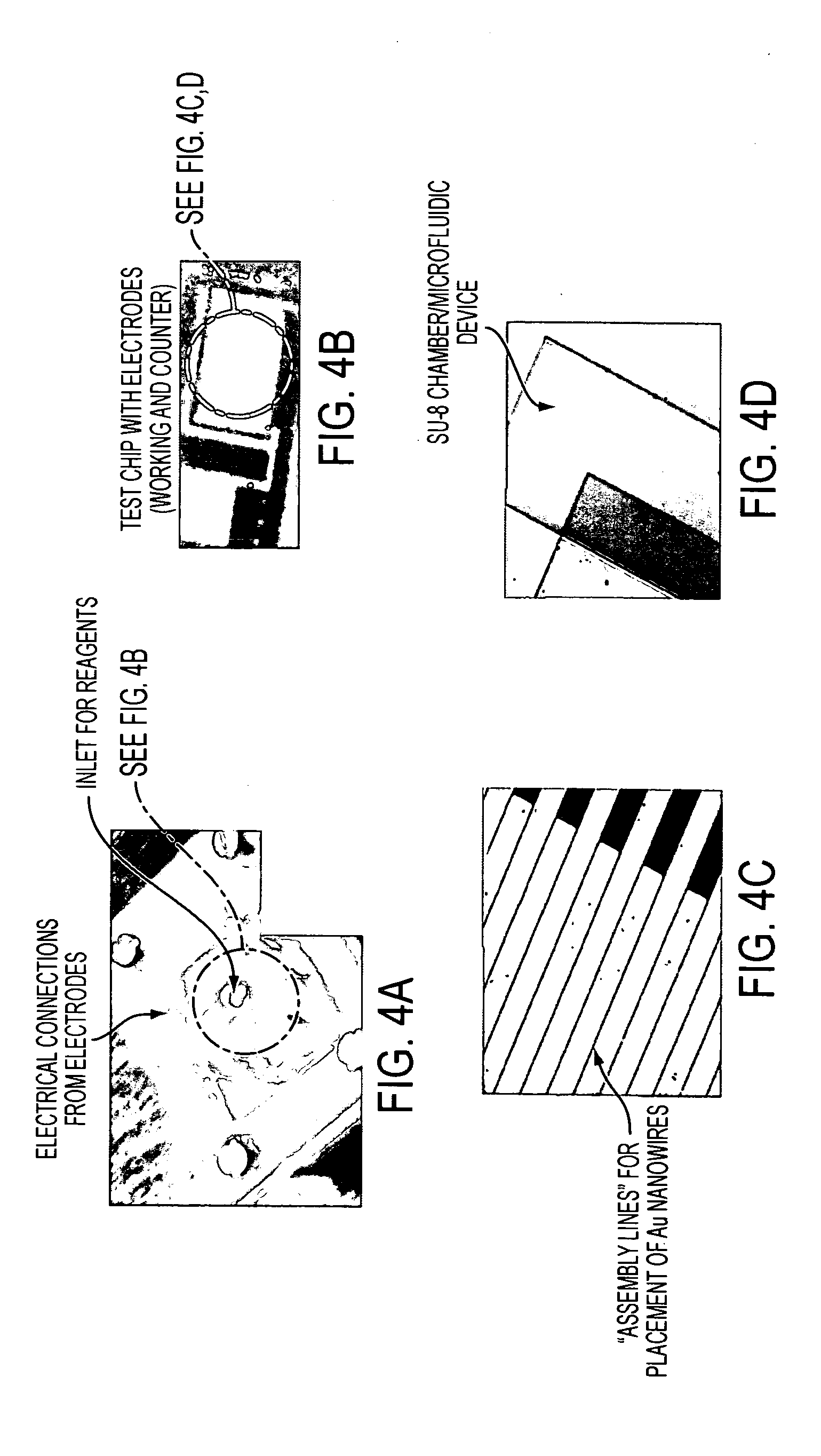 Nano-Based Device for Detection of Disease Biomarkers and Other Target Molecules