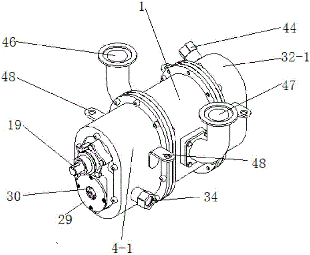 Airtight miniature Roots blower with water pump