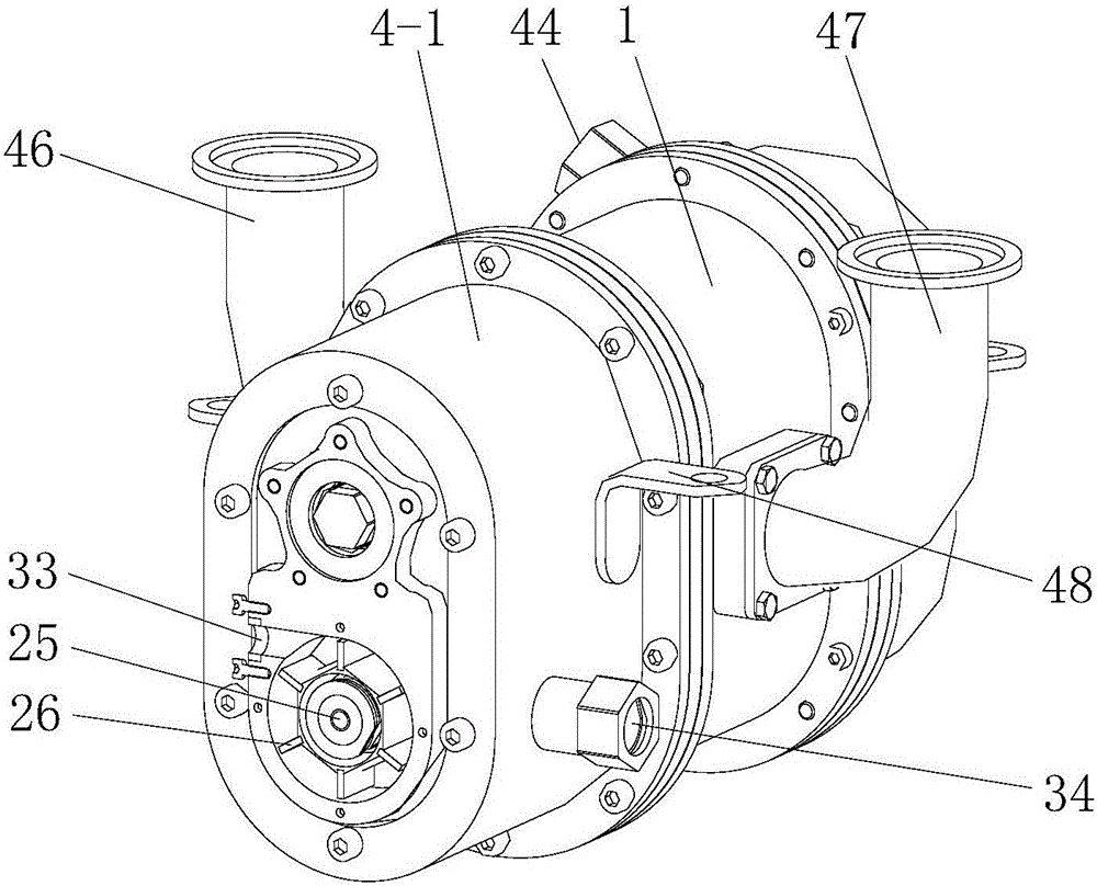 Airtight miniature Roots blower with water pump