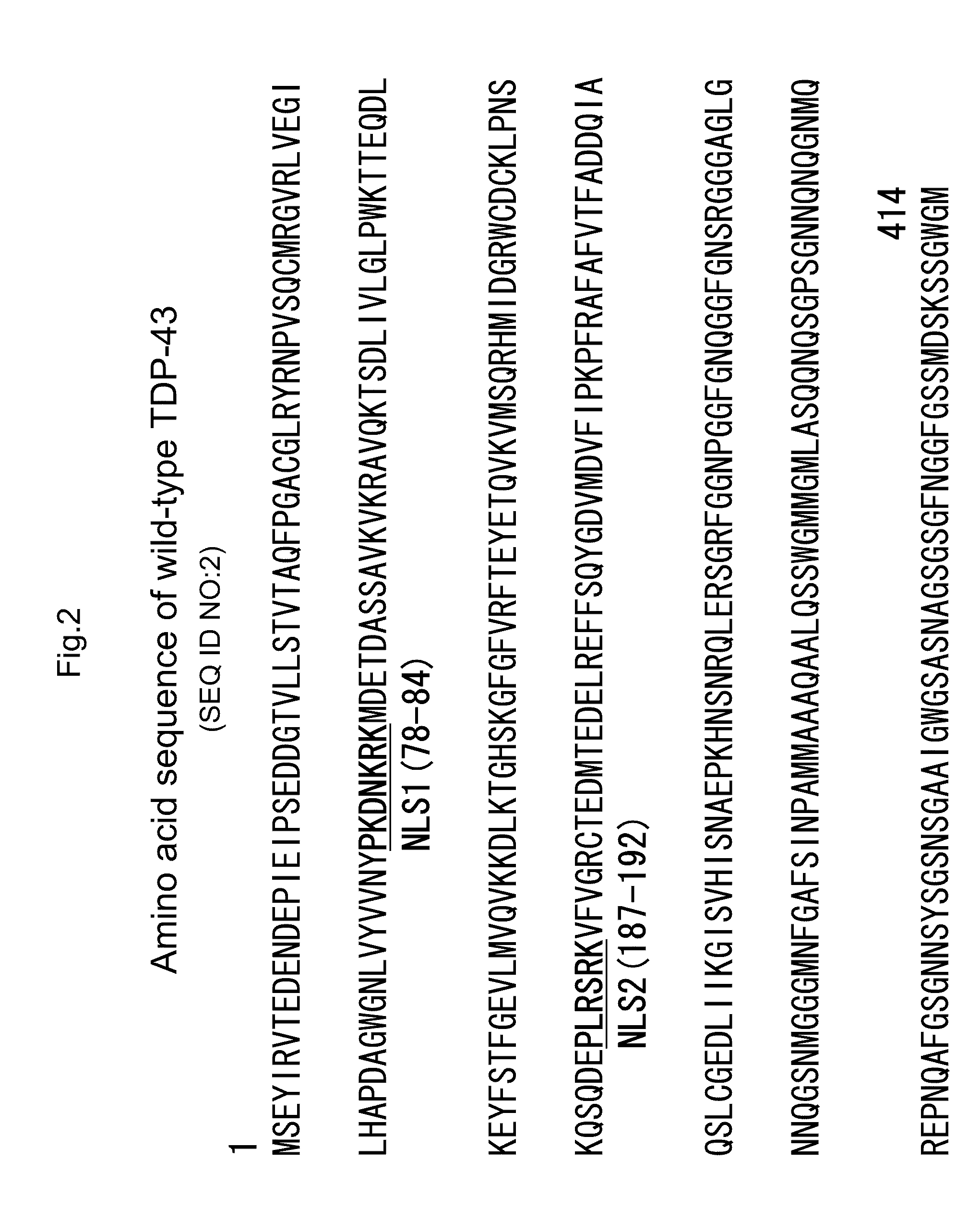 Tdp-43-storing cell model