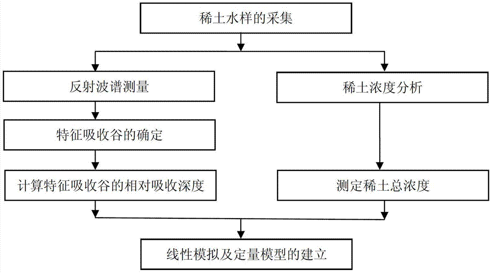 System and method for quantificationally evaluating concentration of rare earth in water body based on ground reflection spectrum