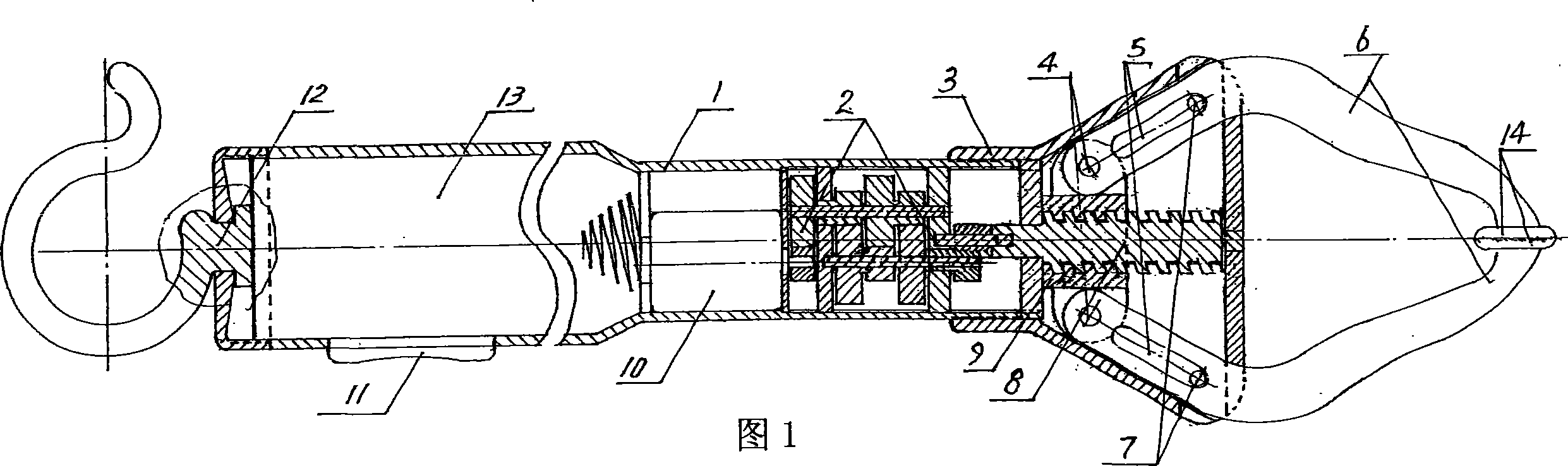 Electric fish picking pliers