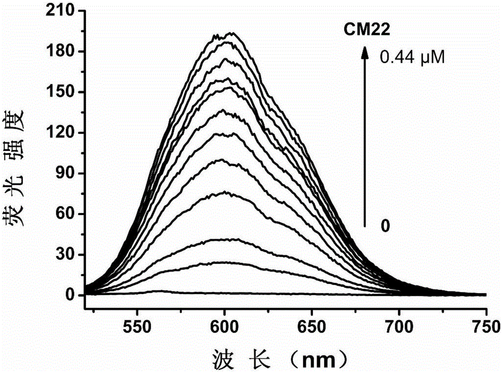 Fluorescent probe with characteristic of charge transfer, and preparation method and application thereof