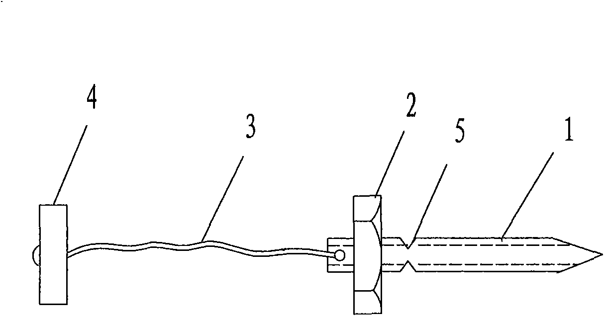 Flexible fixing device for orthopedics