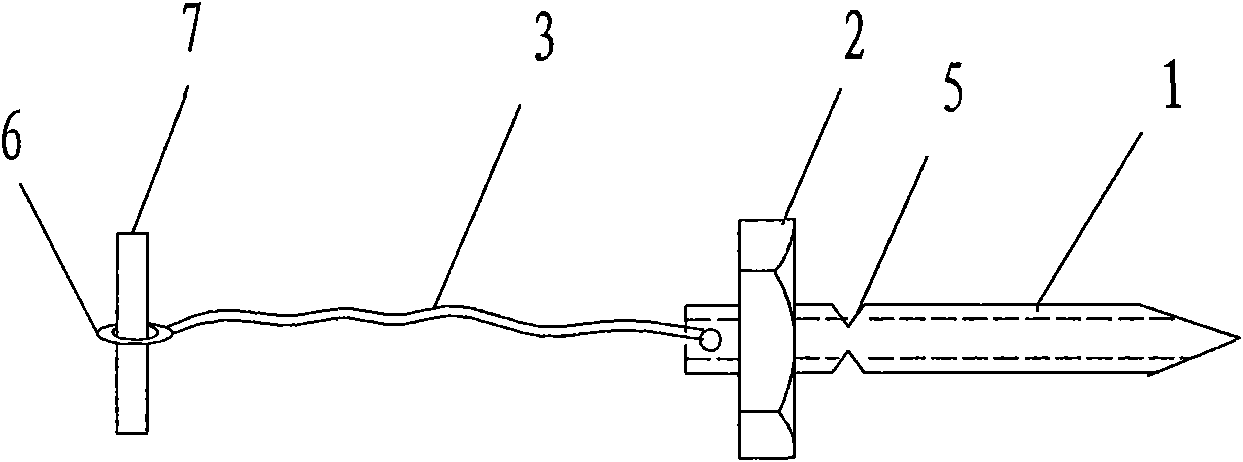 Flexible fixing device for orthopedics