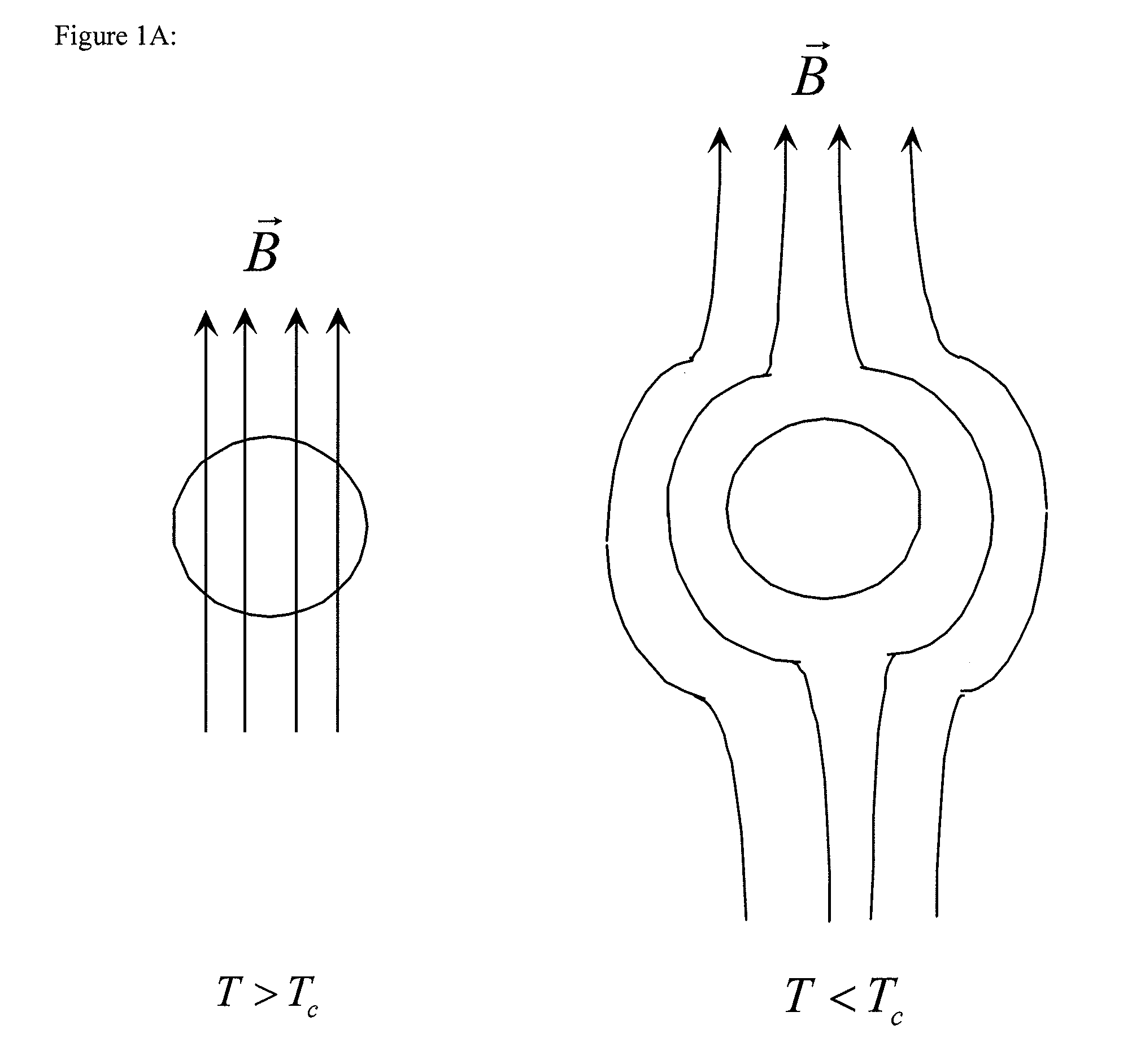 Superconducting rotary motor