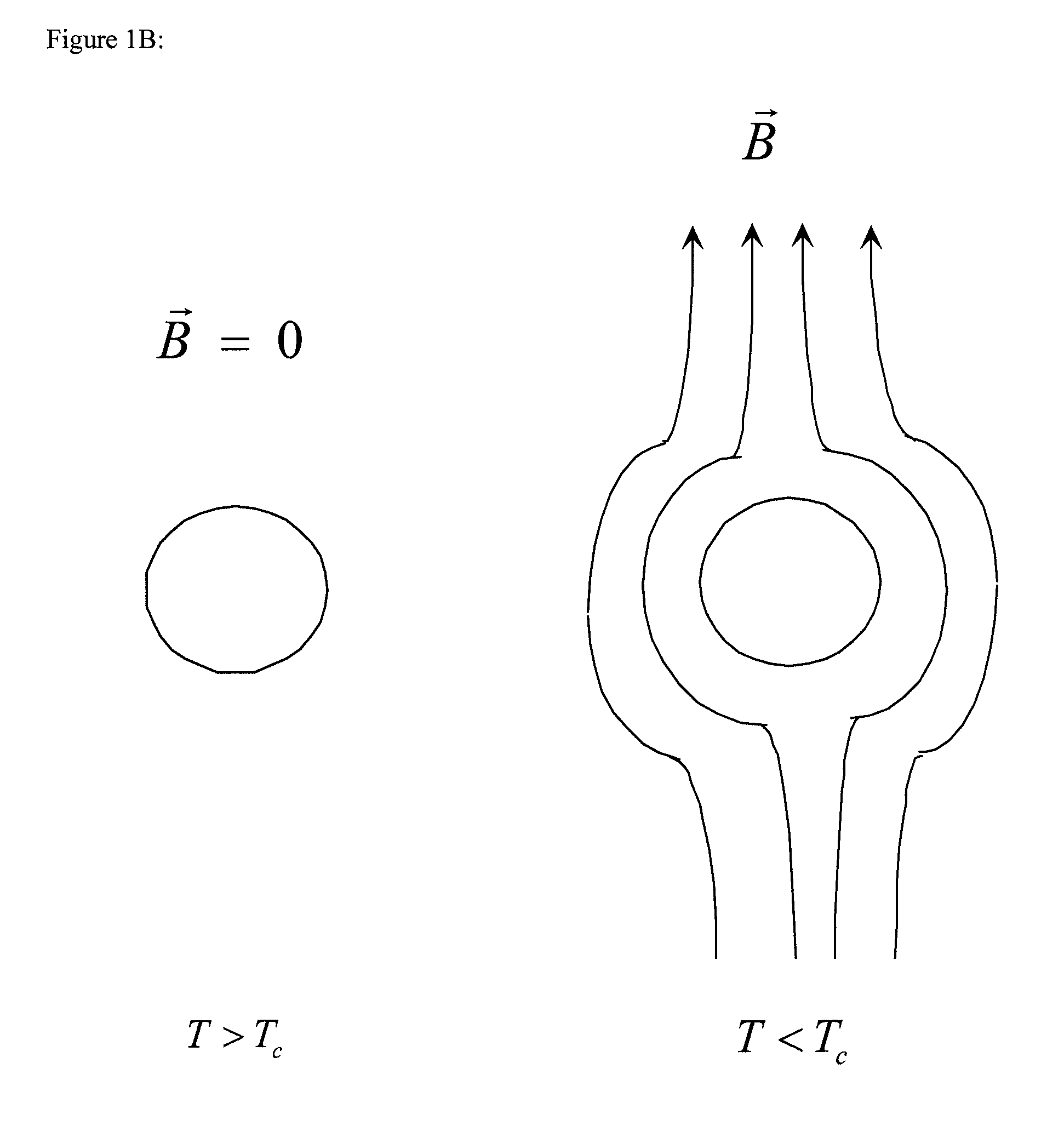 Superconducting rotary motor