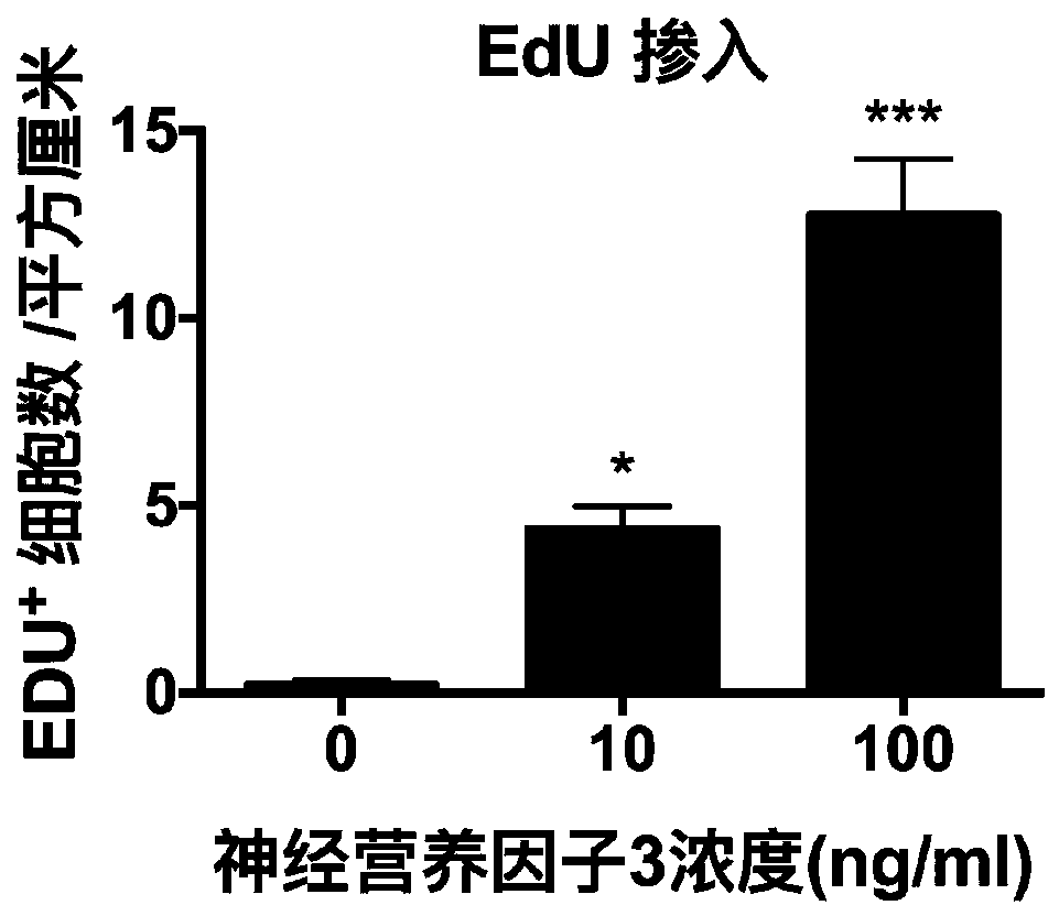 Application of neurotrophic factor 3 in preparation of medicine for treating male hypogonadism