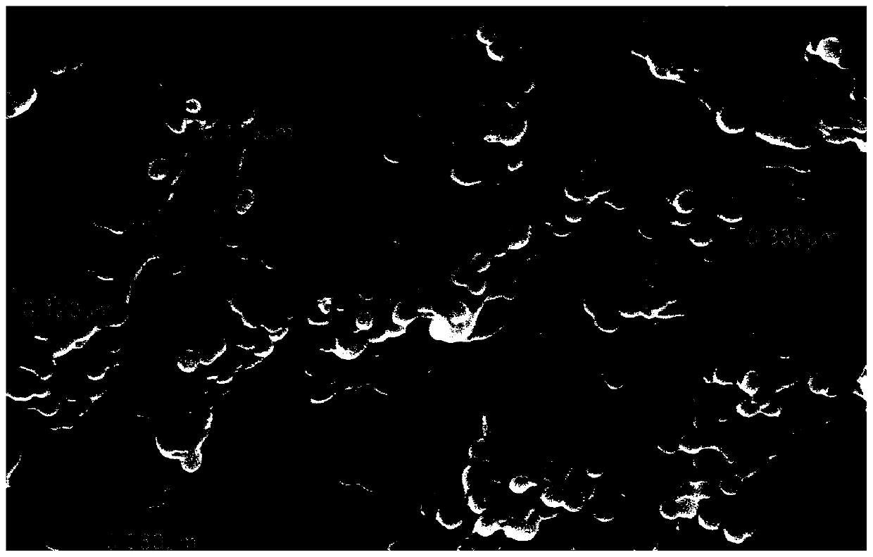 E.maxima nanometer subunit vaccine and preparation method and application thereof