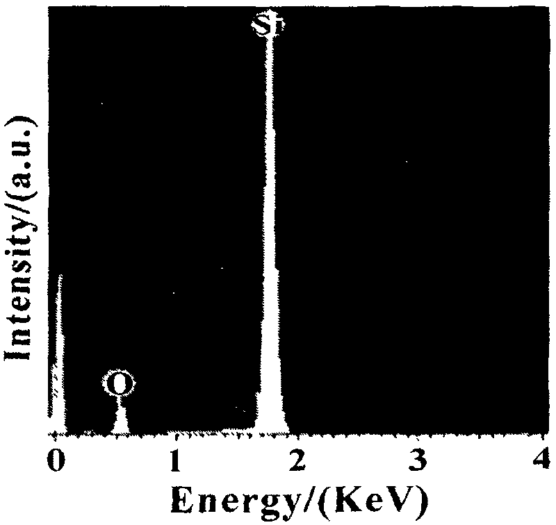 Method of preparing nano silicon line without metal catalyst under low temperature