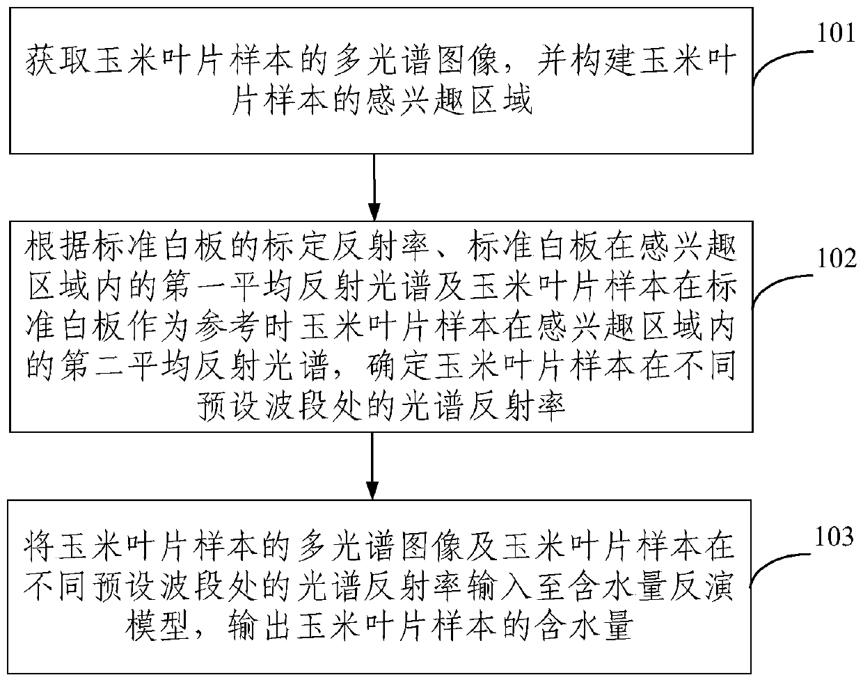 Corn leaf water content detection method and device based on multi-spectral image