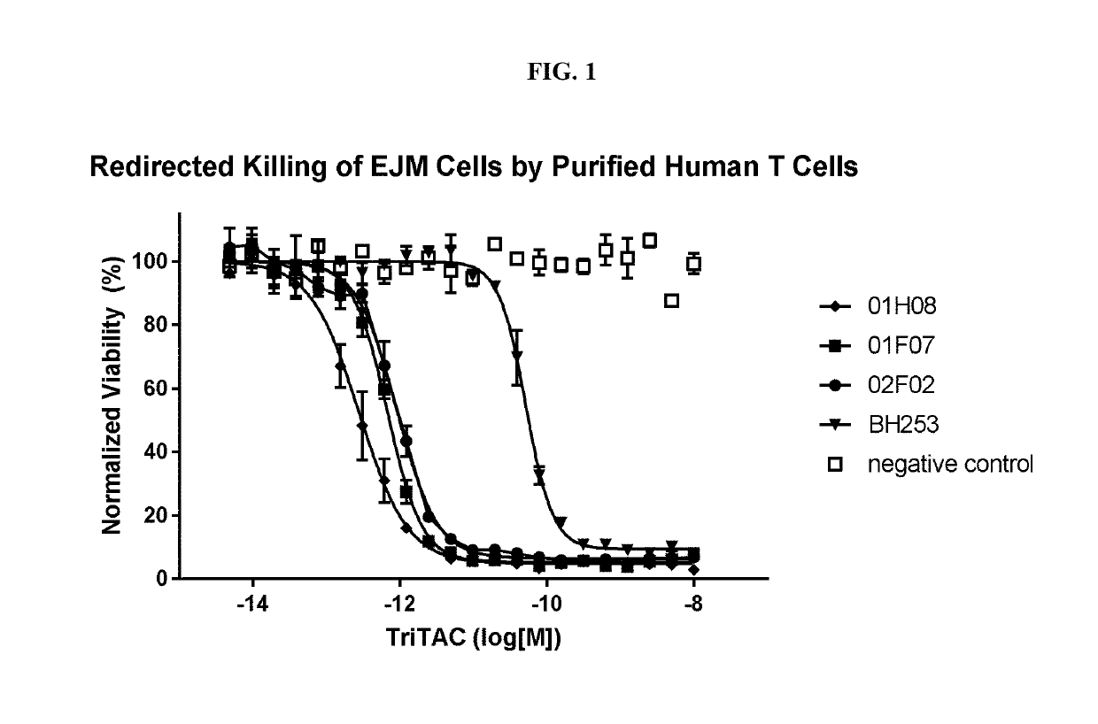 B cell maturation antigen binding proteins