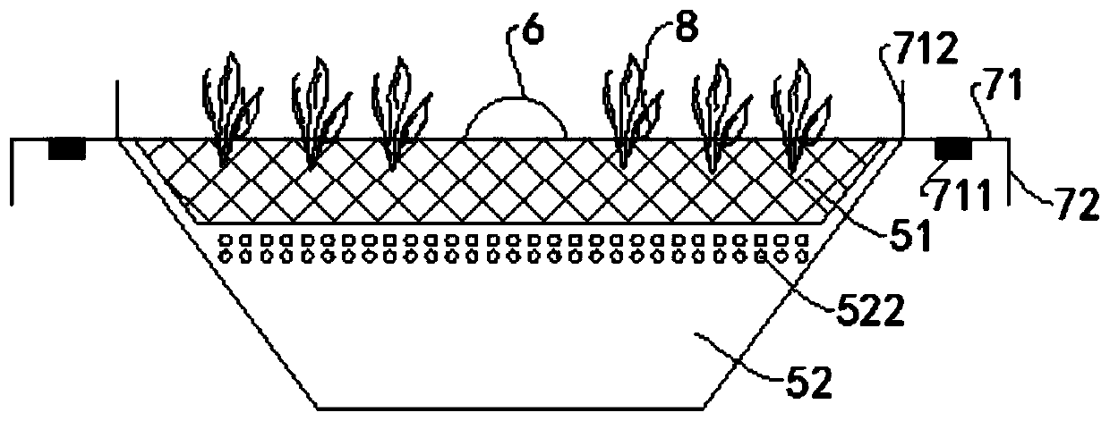 an ecological ditch