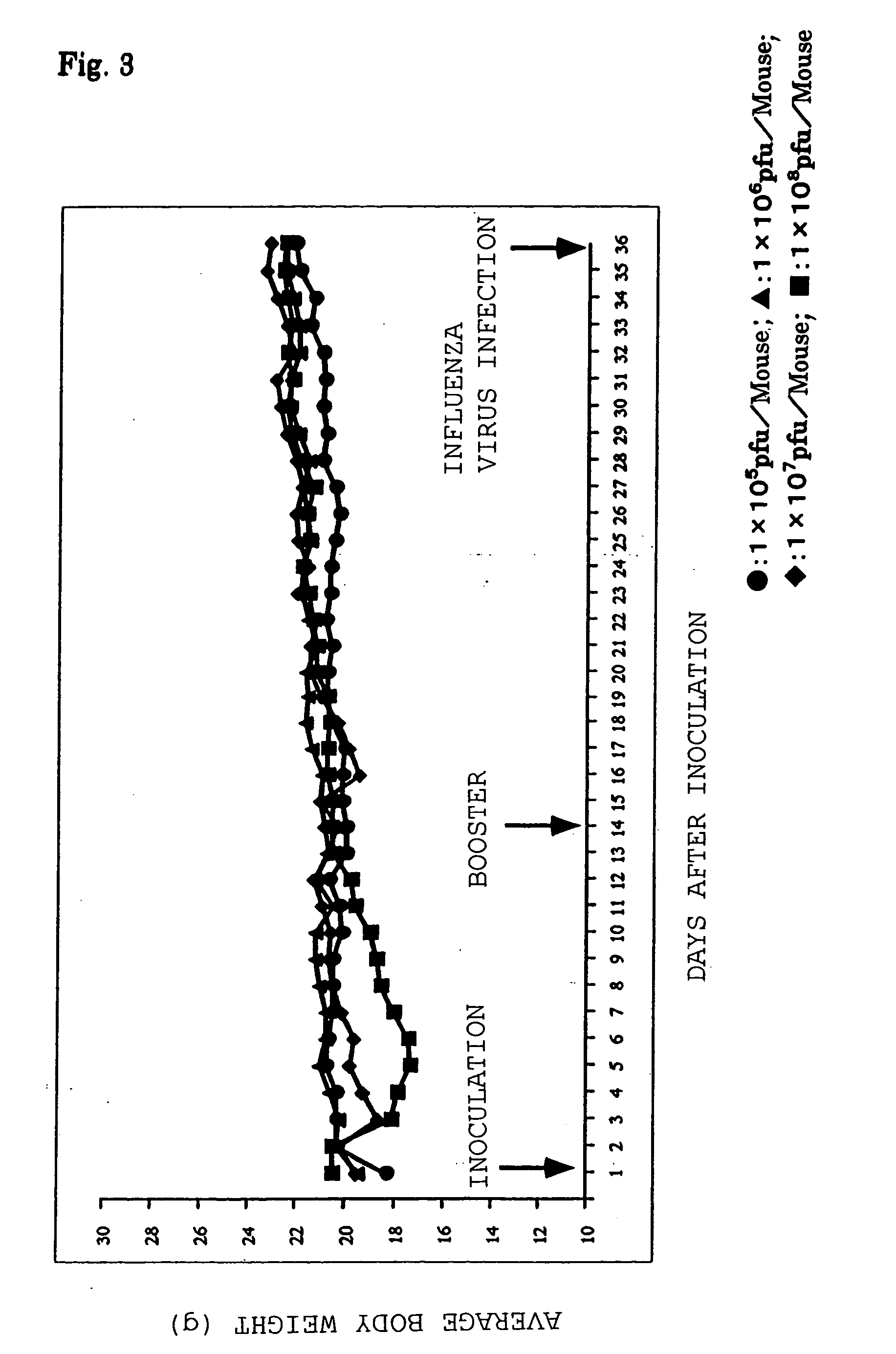 Baculovirus vector vaccine