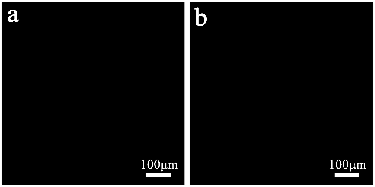 Preparation method of high-voltage-resistant solid polymer electrolyte