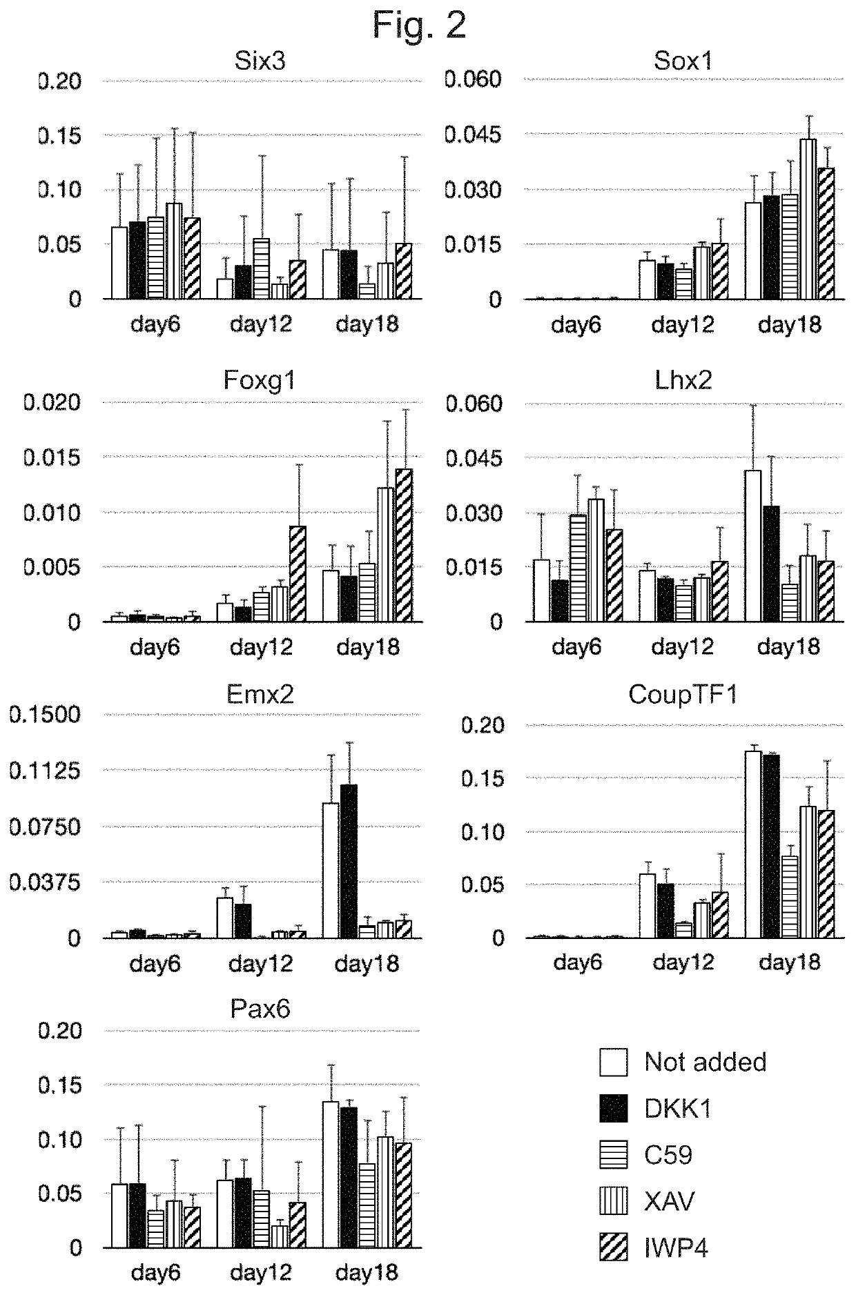 Method for inducing cerebral cortex neurons