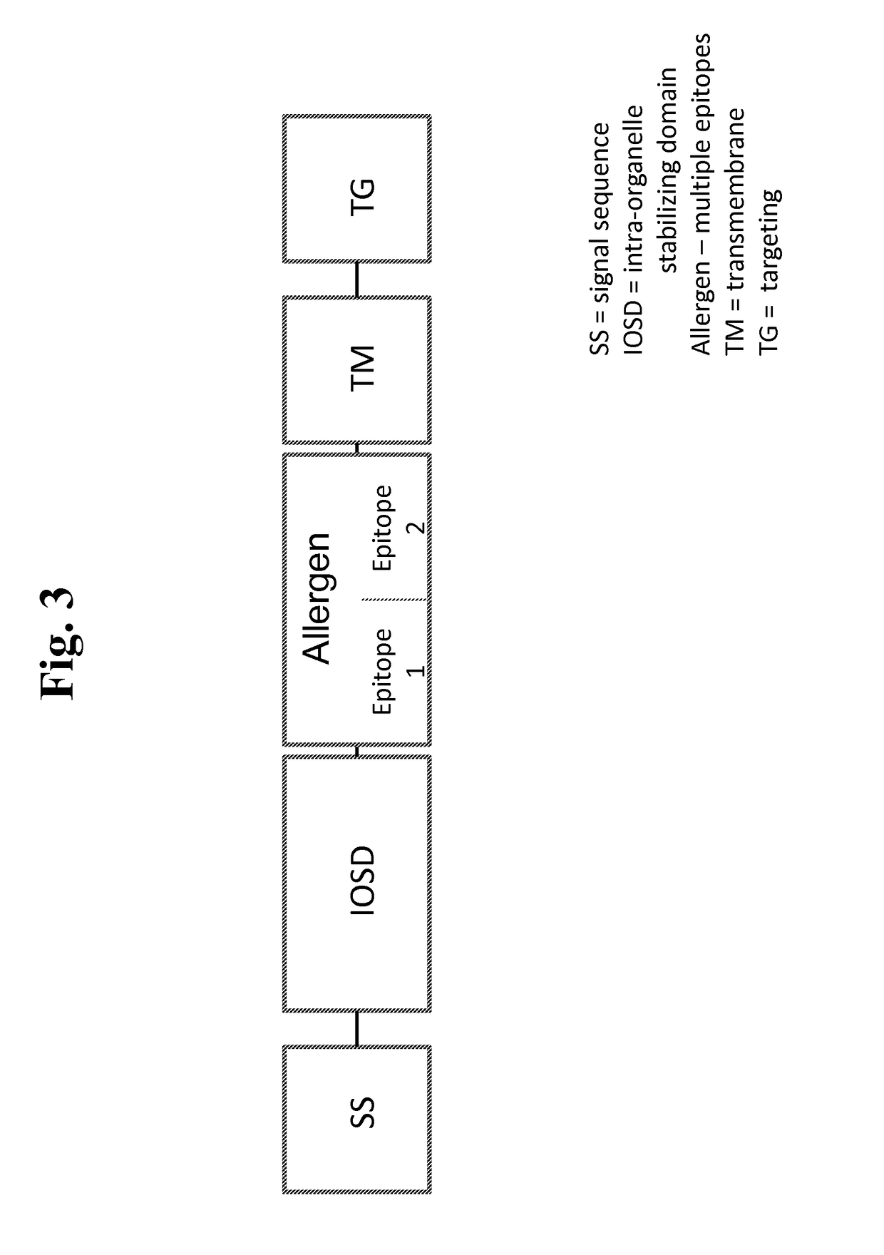 Nucleic acids for treatment of allergies