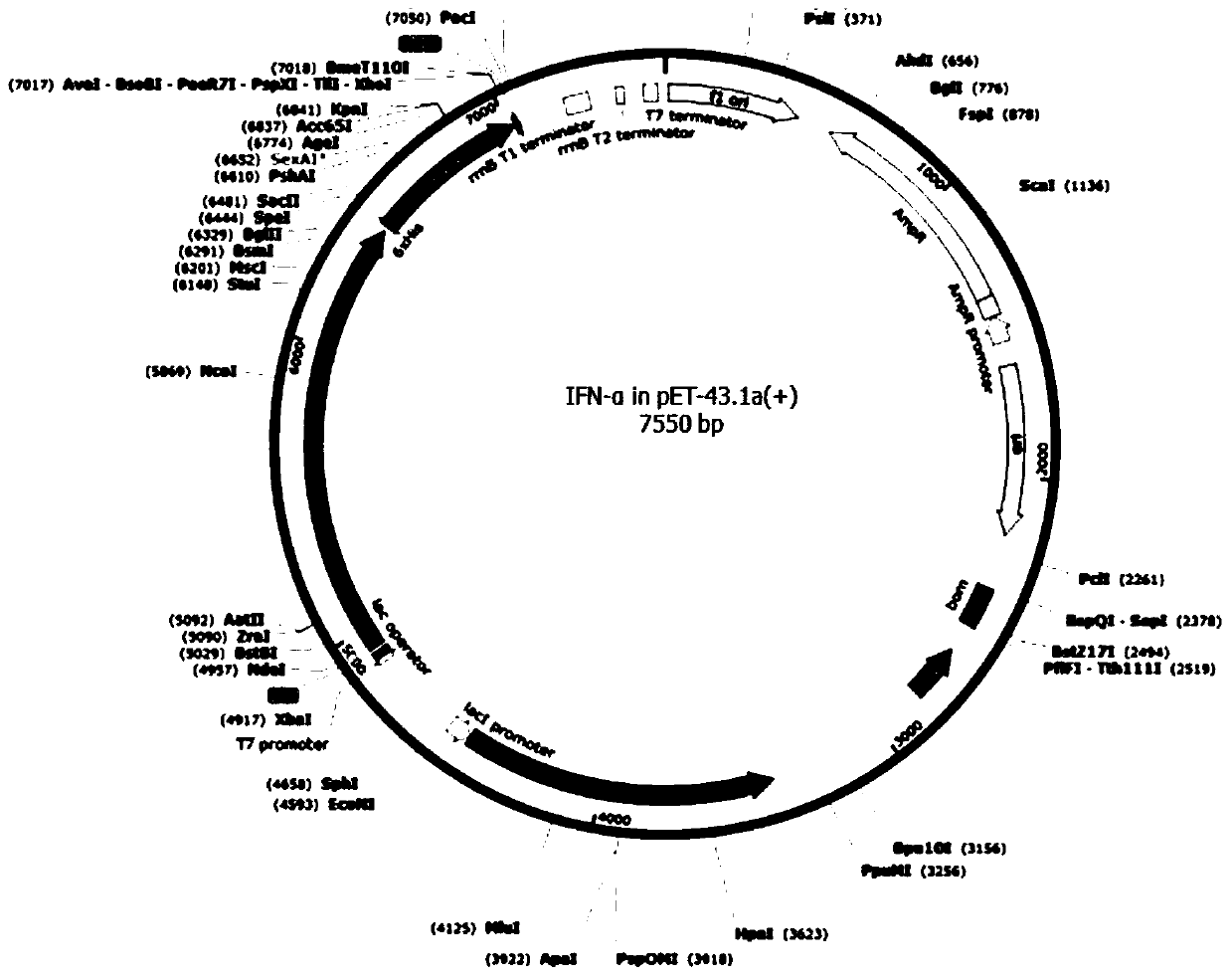 Preparation method and application of cytokine medicine