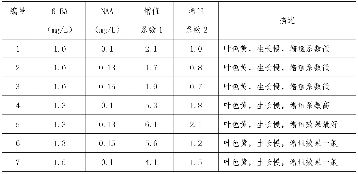 A kind of tissue culture rapid propagation method of golden catalpa