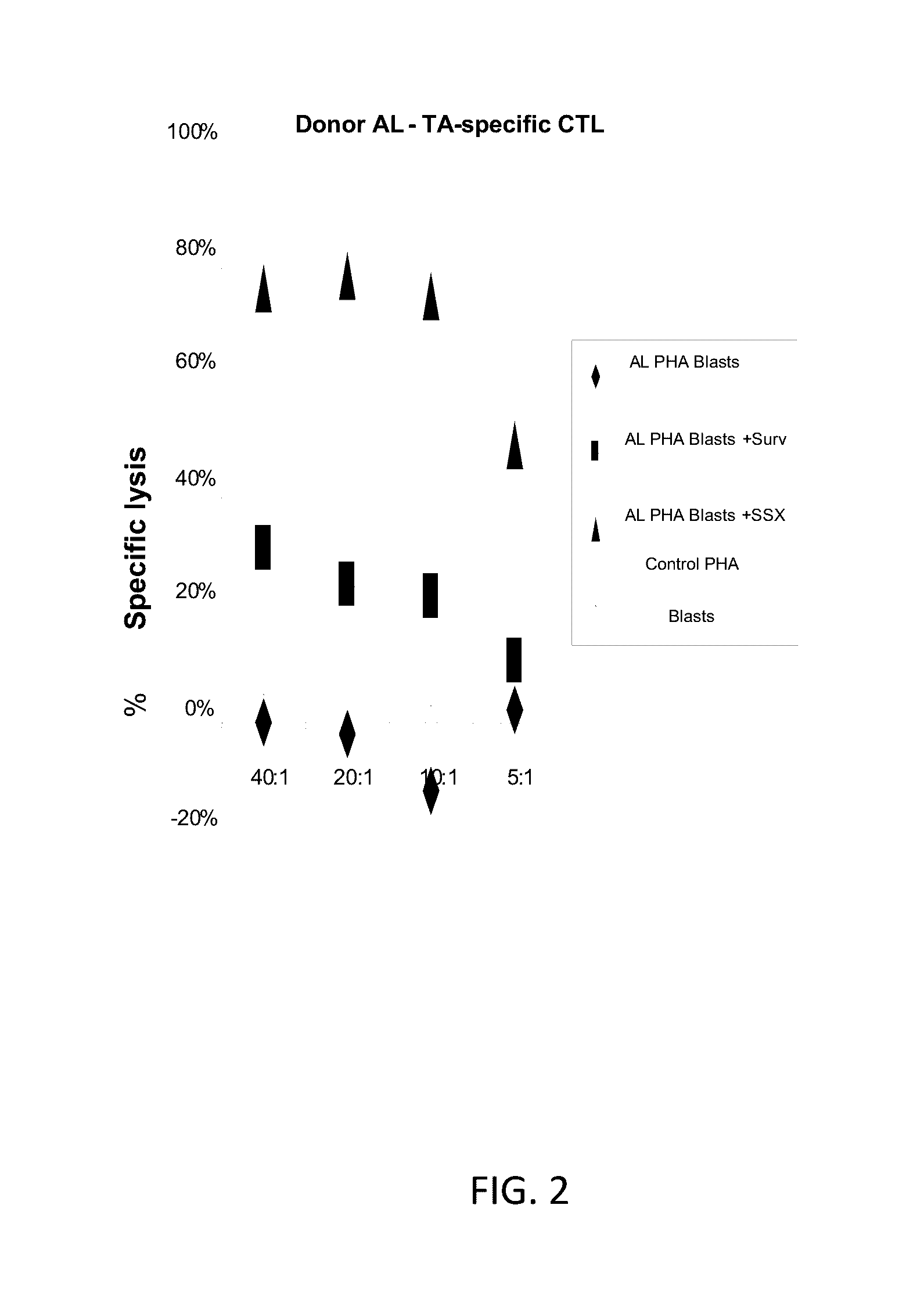 Generation of ctl lines with specificity against multiple tumor antigens or multiple viruses