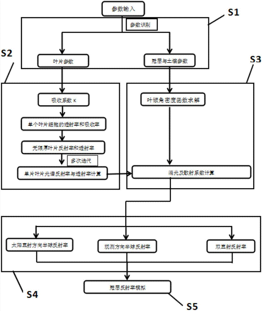 Aciculignosa canopy reflectivity calculation method and model