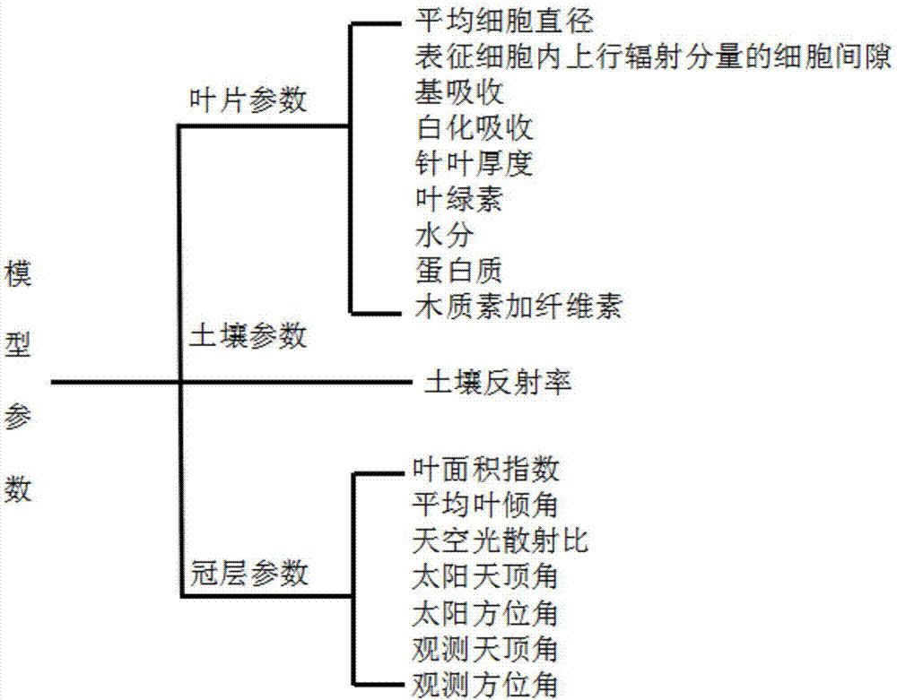 Aciculignosa canopy reflectivity calculation method and model