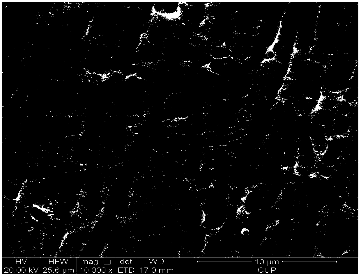 Method for carrying out surface modification upon biodegradable magnesium and magnesium alloy through iron ion implantation deposition