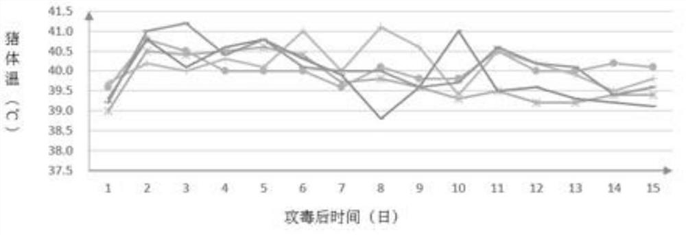 Chog cholera and porcine pseudorabies bivalent vaccine as well as preparation method and application thereof