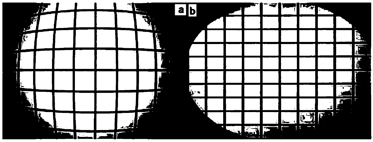 Multi-leaf area measuring method for improving precision