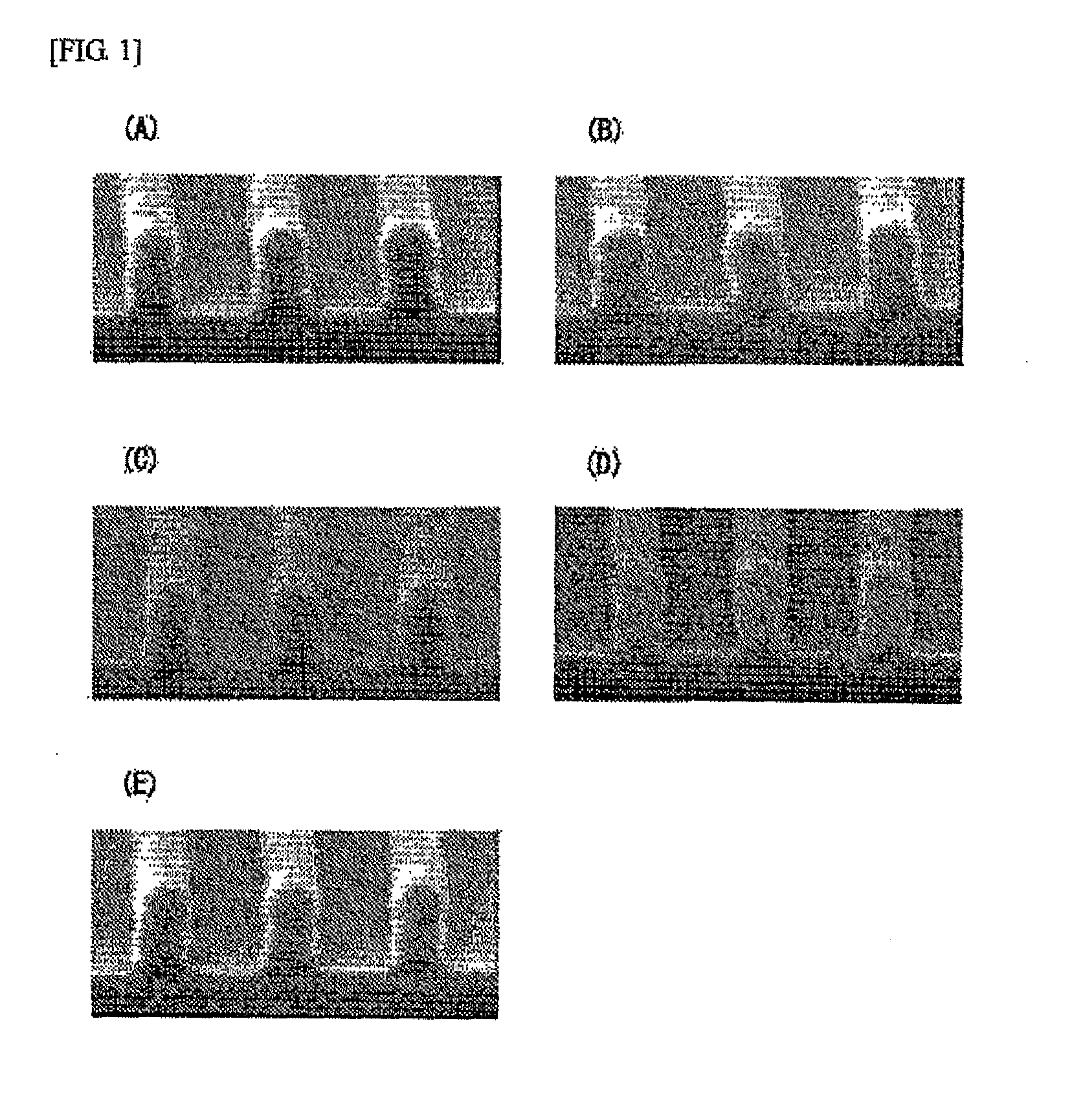 Sulfur atom-containing resist underlayer film forming composition and method for forming resist pattern