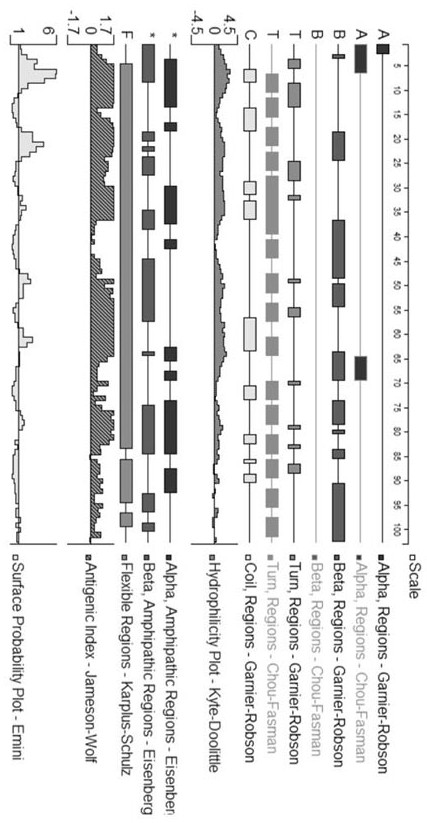 A kind of multi-antigen epitope protein of chicken infectious bursal disease virus and its application