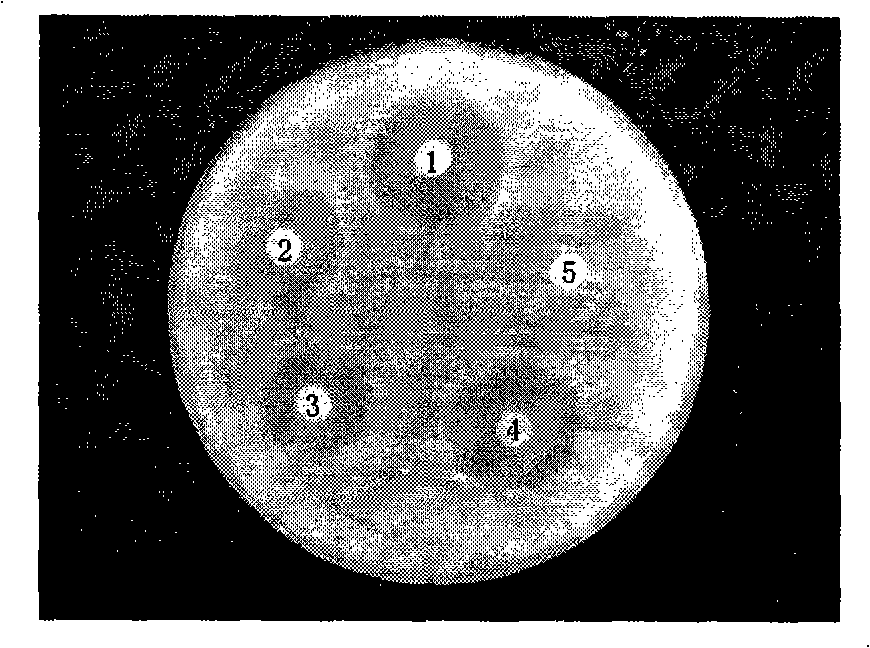 Novel surrounding purifying material as well as preparation and use thereof