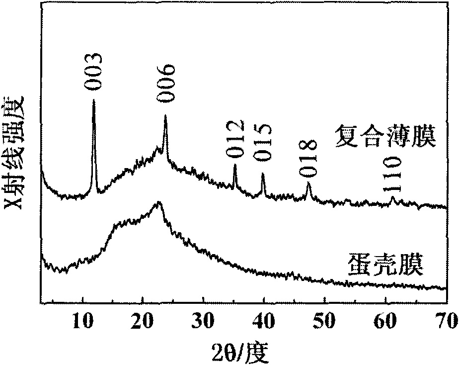 Hydrotalcite-like compound/eggshell membrane composite film and preparation method thereof