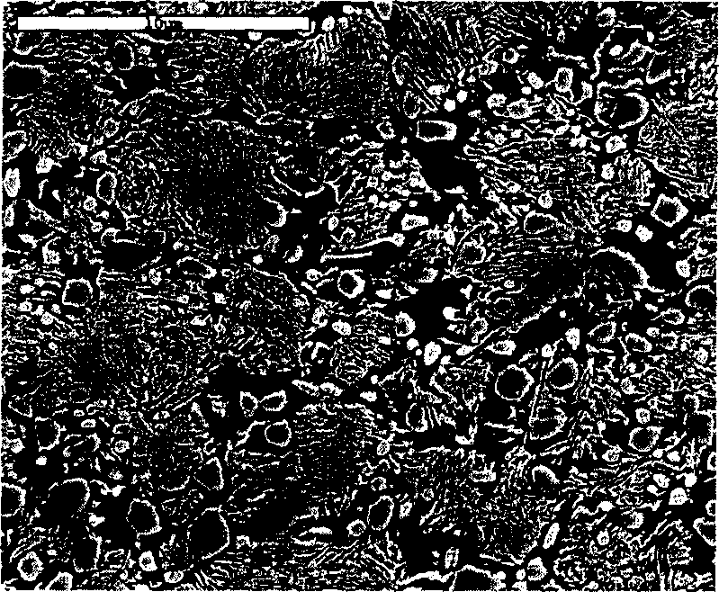 Process for producing super high carbon steel