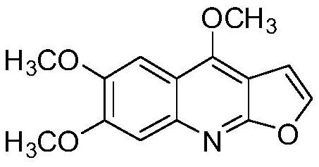 Application of alkaloids kokusaginine and robustine in preparation of medicine for treating leucoderma