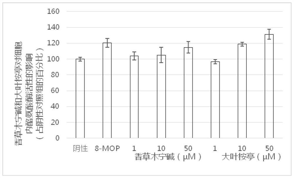 Application of alkaloids kokusaginine and robustine in preparation of medicine for treating leucoderma