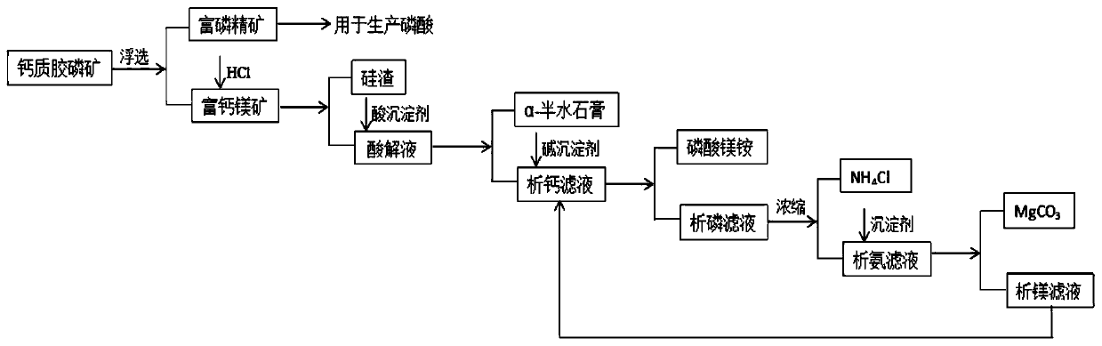 Method for producing phosphate concentrate and by-producing alpha-hemihydrate gypsum and magnesium carbonate from calcareous collophanite