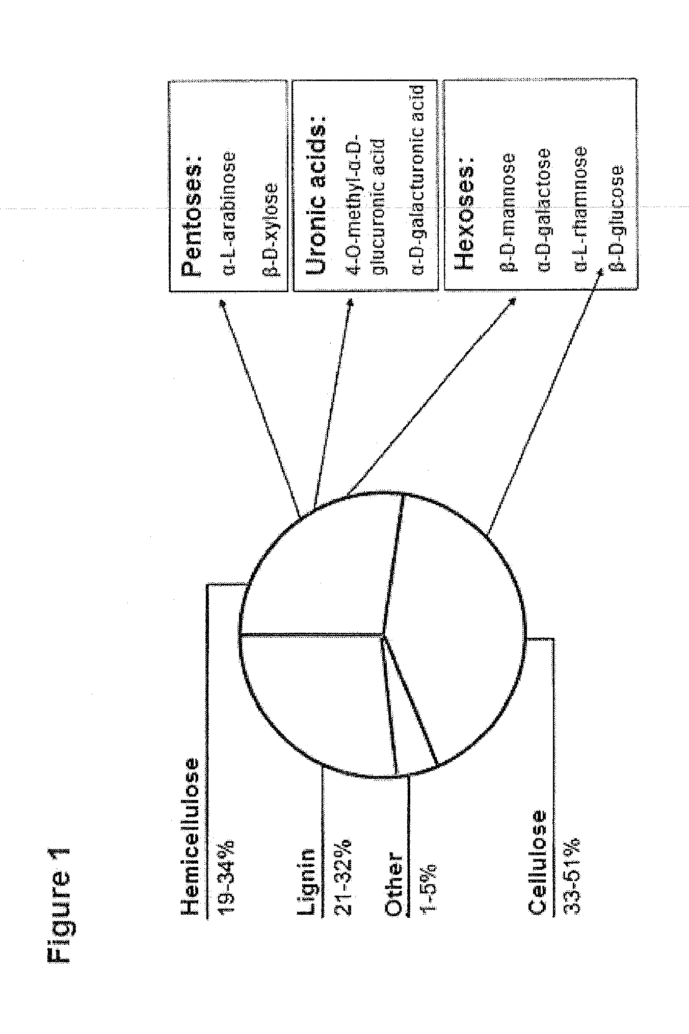 Prokaryotic Xylose Isomerase for the Construction of Xylose Fermenting Yeasts