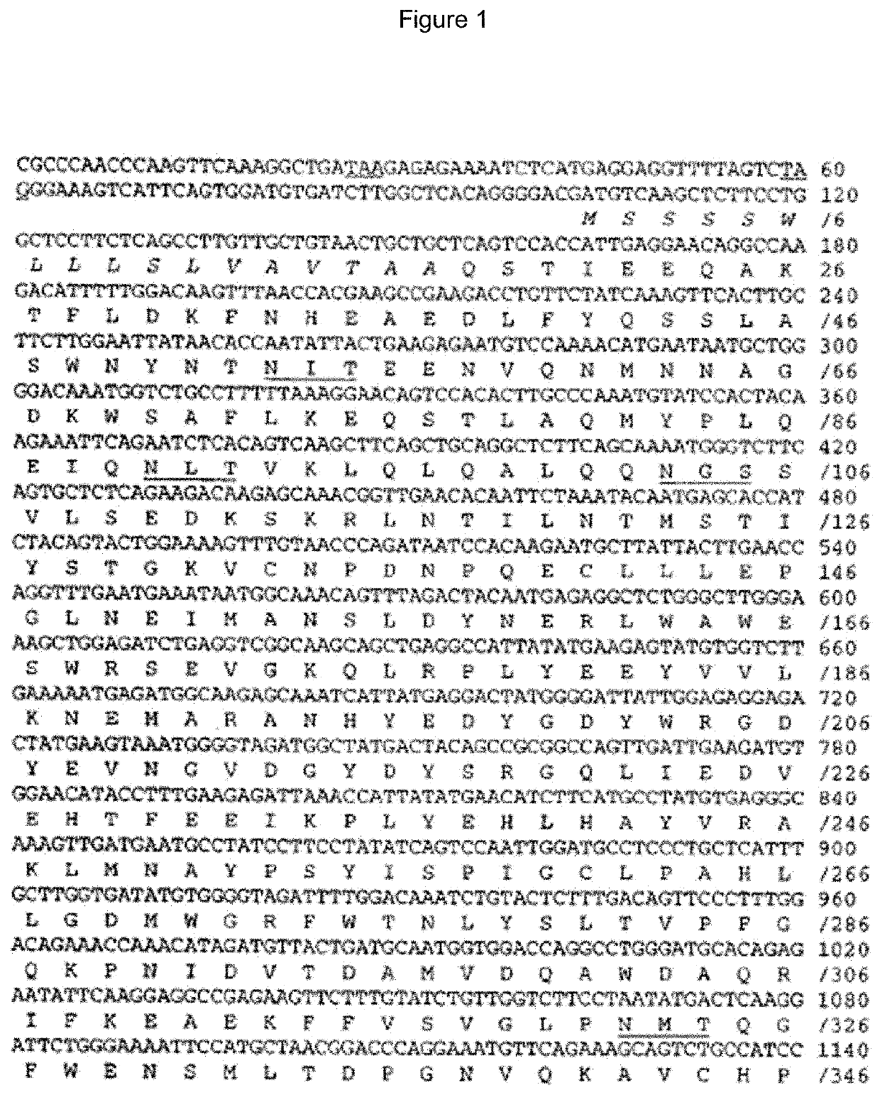 Bispecific Antibody Compositions and Methods for Treating COVID-19