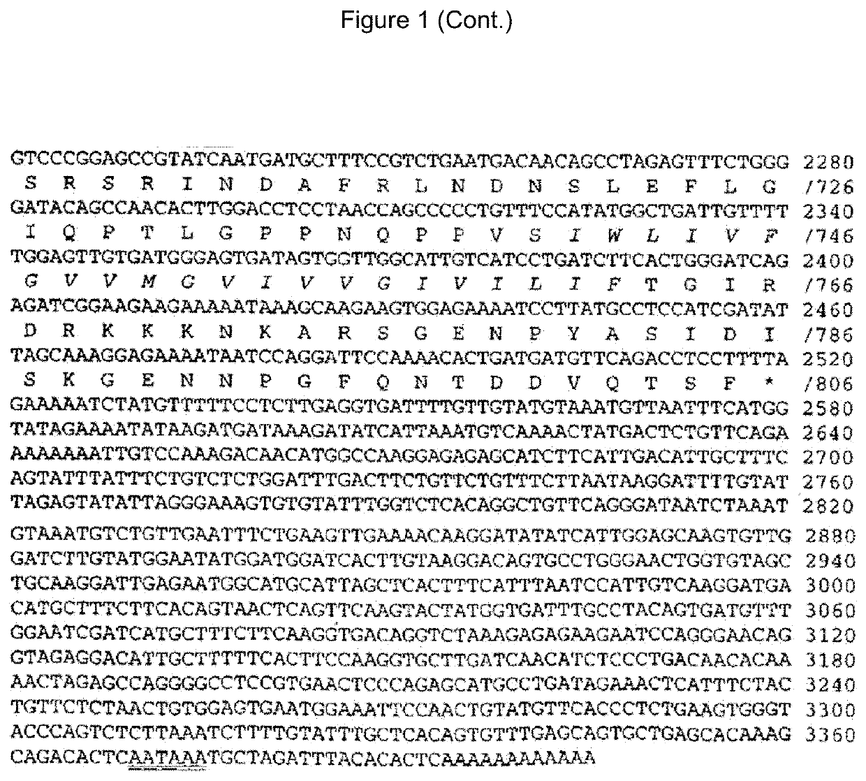 Bispecific Antibody Compositions and Methods for Treating COVID-19