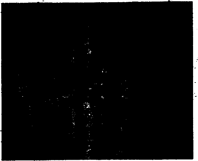 Method for continuously preparing nickelous hydroxide