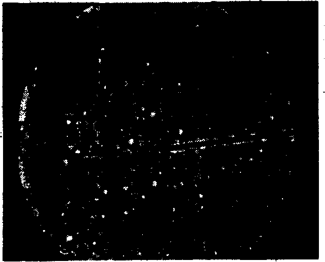 Method for continuously preparing nickelous hydroxide