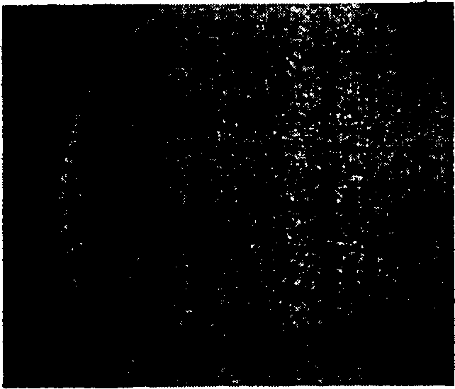 Method for continuously preparing nickelous hydroxide