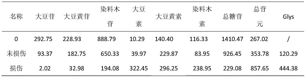 Method for preparing bean flour and functional soybean protein rich in glyceollin by adopting solid fermentation method