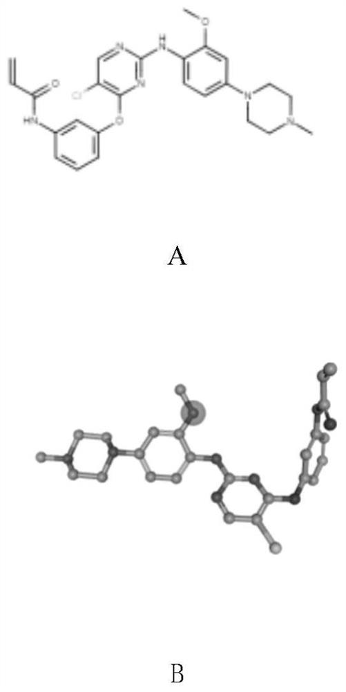 Molecular docking result screening method based on positive compound residue contribution similarity