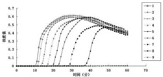 Reverse transcription loop-mediated isothermal amplification kit for swine epidemic encephalitis B virus and application of kit